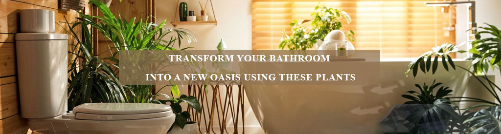 Transform Your Bathroom into a New Oasis Using These Plants