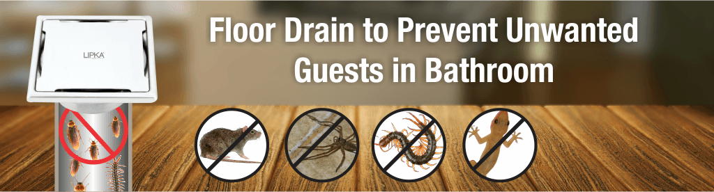 What Type of Floor Drain Prevents Unwanted Guests in your Bathroom? - Lipka Home