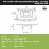 Orange Exclusive Square Floor Drain in Yellow Gold PVD Coating (5 x 5 Inches) with Cockroach Trap - LIPKA