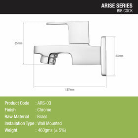 Arise Bib Tap Brass Faucet - LIPKA - Lipka Home