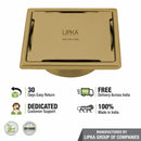 Yellow Exclusive Square Floor Drain in Yellow Gold PVD Coating (6 x 6 Inches) with Cockroach Trap - LIPKA - Lipka Home