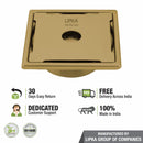 Yellow Exclusive Square Floor Drain in Yellow Gold PVD Coating (6 x 6 Inches) with Hole & Cockroach Trap - LIPKA - Lipka Home