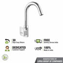 Arise Swan Neck Brass Faucet with Round Swivel Spout (12 Inches) - LIPKA - Lipka Home