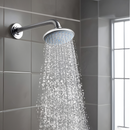 Rapid Overhead Shower (6 Inches) - LIPKA - Lipka Home