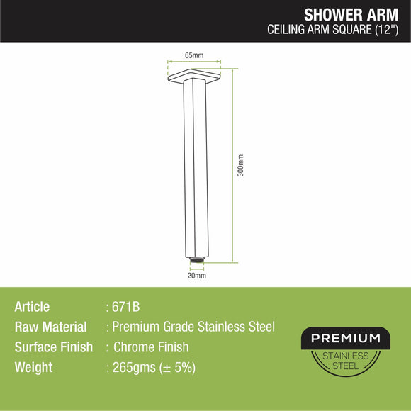 Ceiling Shower Arm (12 Inches) - LIPKA - Lipka Home