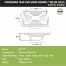 Green Exclusive Square Floor Drain in Yellow Gold PVD Coating (6 x 6 Inches) with Cockroach Trap - LIPKA - Lipka Home