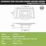 Orange Exclusive Square Flat Cut Floor Drain in Antique Copper PVD Coating (5 x 5 Inches) with Cockroach Trap sizes and dimensions
