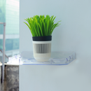 ABS Set up Box Stand (5 x 16 Inches) - LIPKA - Lipka Home