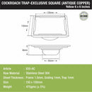 Yellow Exclusive Square Floor Drain in Antique Copper PVD Coating (6 x 6 Inches) with Cockroach Trap - LIPKA - Lipka Home