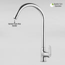 Virgo Swan Neck with Large (20 Inches) Round Swivel Spout Faucet - LIPKA - Lipka Home